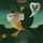 Artikelbild von Pink Moon