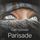 Artikelbild von Parisade