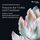 Artikelbild von J. S. Bach: Sonatas for Violin and Continuo