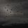 Artikelbild von Primordial: Gathering Wilderness