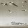 Artikelbild von Milenasong: Seven Sisters