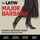Artikelbild von Major Barbara