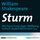 Artikelbild von Sturm