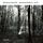 Artikelbild von Brahms: Streichquartette, Op. 51