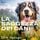 Artikelbild von La saggezza dei cani
