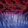 Artikelbild von Blackthorne II Dont Kill the