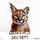 Artikelbild von Damn Hot Secrets