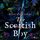 Artikelbild von The Scottish Boy: A feisty, spicy historical romance