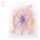 Artikelbild von Music For Psychedelic Therapy