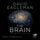 Artikelbild von The Brain