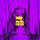 Artikelbild von Bloom Season (Digisleeve)