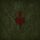Artikelbild von Wardruna: Yggdrasil