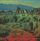 Artikelbild von Saunders, P: Beautiful Desolation