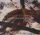 Artikelbild von Continuum