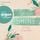 Artikelbild von A Place to Shine