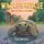 Artikelbild von How to Save a Tortoise