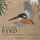Artikelbild von Byrd:Complete Harpsichord And Organ Music