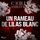 Artikelbild von Un rameau de lilas blanc