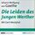 Artikelbild von Die Leiden des jungen Werther