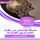 Artikelbild von Summary of the human knowledge book from a look, learn the origins of the prey