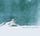 Artikelbild von Intune