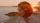 thumbnail-10