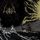 Artikelbild von Sea of Duress