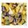 Artikelbild von Tales Of Herbst