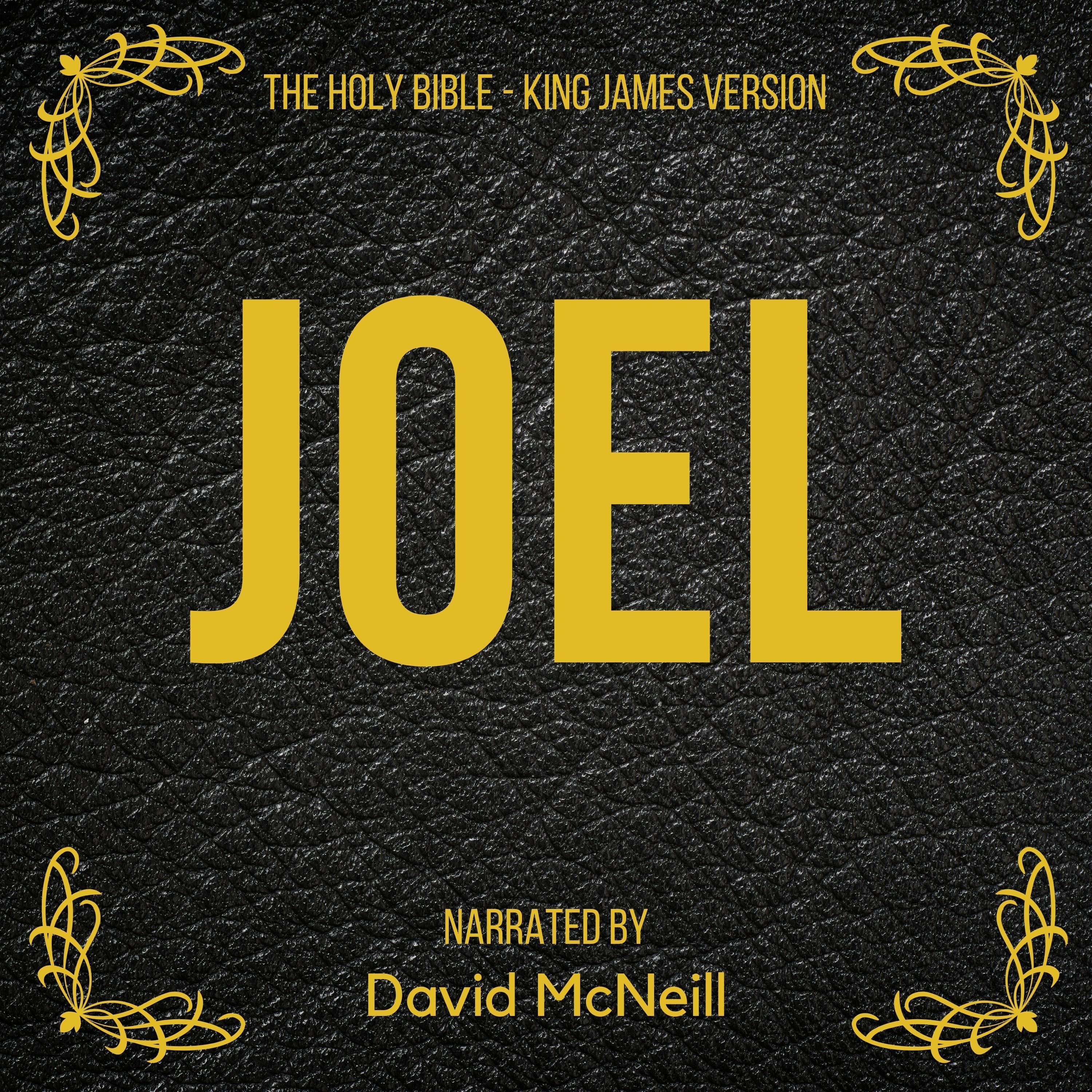Artikelbild von The Holy Bible - Joel