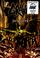 Artikelbild von Grave - Enraptured (+ CD)