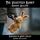 Artikelbild von The Velveteen Rabbit