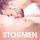 Artikelbild von Stormen - erotiska noveller