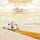 Artikelbild von Across The Delta: Dancing To Architecture