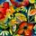 Artikelbild von Songs & Instrumentals