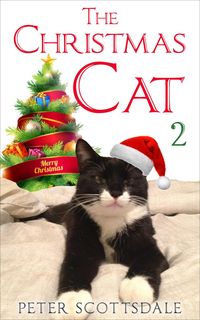 Produktbild: The Christmas Cat 2 (The Christmas Cat Tails Series, #2)