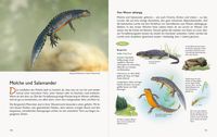 Wawra's Naturbuch – Unserer Natur auf der Spur, Bd. 1: Säugetiere, Vögel, Reptilien, Amphibien