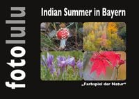 Produktbild: Indian Summer in Bayern