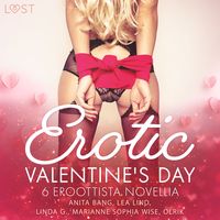Produktbild: Erotic Valentine's Day - 6 eroottista novellia