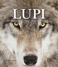 Produktbild: Lupi