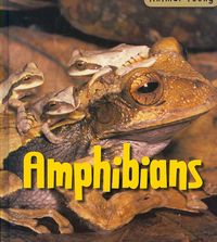 Produktbild: Amphibians