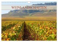 Produktbild: Weinlandschaften (Wandkalender 2026 DIN A4 quer), CALVENDO Monatskalender