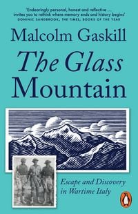 Produktbild: The Glass Mountain