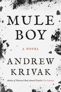 Produktbild: Mule Boy