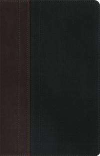 Produktbild: Version, N: NIV Study Bible Brown/Tan Duo-Tone Personal Size