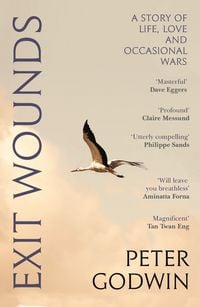 Produktbild: Exit Wounds