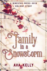 Produktbild: Family in a Snowstorm (Snow Globes, #2)