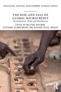 Produktbild: The Rise and Fall of Global Microcredit
