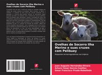 Produktbild: Ovelhas de Socorro Ilha Merino e suas cruzes com Pelibuey