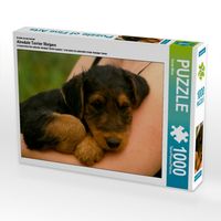 Produktbild: CALVENDO Puzzle Ein Motiv aus dem Kalender Airedale Terrier Welpen | 1000 Teile Lege-Gr&ouml;&szlig;e 64x48cm Foto-Puzzle f&uuml;r gl&uuml;ckliche Stunden