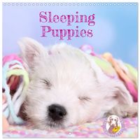 Produktbild: Sleeping Puppies (Wall Calendar 2026 12 &times; 12 Inch) CALVENDO 12 Month Wall Calendar